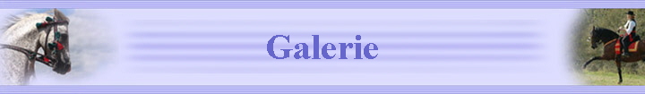 Galerie