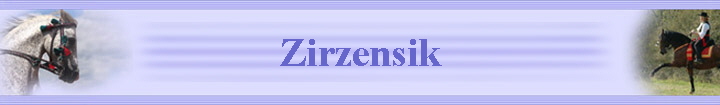 Zirzensik